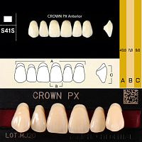 Зубы CROWN PX Anterior, цвет D3, фасон S41S композитные трехслойные, 6 шт. от Атридент