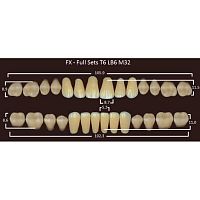 FX зубы акриловые двухслойные, полный гарнитур (28 шт.) на планке, C3, T6/LB6/M32 от Атридент