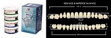 Зубы в боксах New Ace / Million, цвет C1, фасон S4/L4/M32, 20 полных гарнитуров. от Атридент