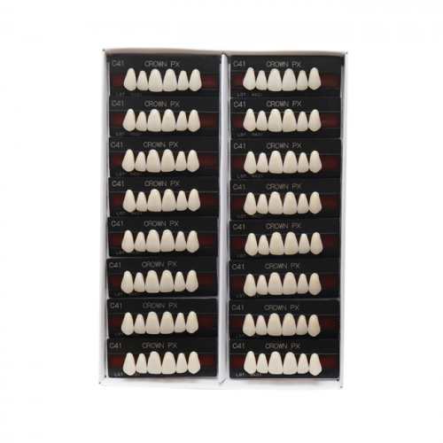 Зубы CROWN PX Anterior, цвет W05, фасон S44S композитные трехслойные, 6 шт. от Атридент фото 3