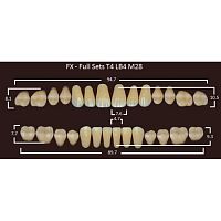 FX зубы акриловые двухслойные, полный гарнитур (28 шт.) на планке, C1, T4/LB4/M28 от Атридент