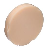 Диск Re-Fine Acrylic B2 95х16мм, для Zirkonzahn- PMMA CAM/CAM от Атридент