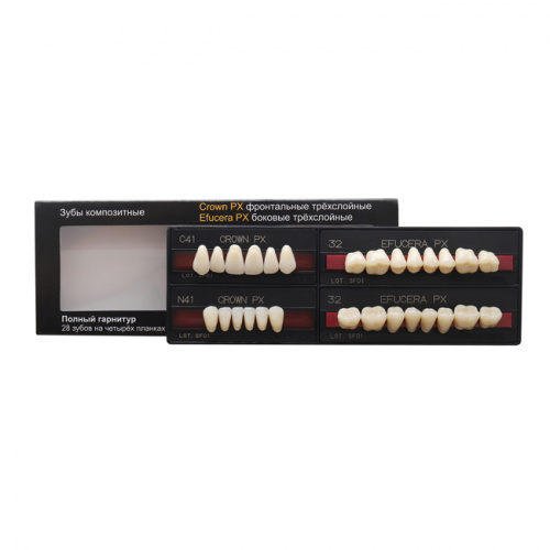 Зубы PX CROWN / EFUCERA, цвет A1, фасон S43S/N41/28, полный гарнитур, 28шт. от Атридент фото 5