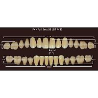 FX зубы акриловые двухслойные, полный гарнитур (28 шт.) на планке, C1, S6/LB7/M33 от Атридент