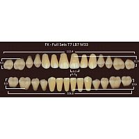 FX зубы акриловые двухслойные, полный гарнитур (28 шт.) на планке, D2, T7/LB7/M33 от Атридент