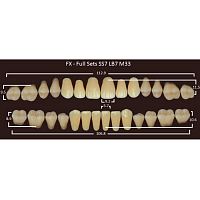 FX зубы акриловые двухслойные, полный гарнитур (28 шт.) на планке, D4, SS7/LB7/M33 от Атридент