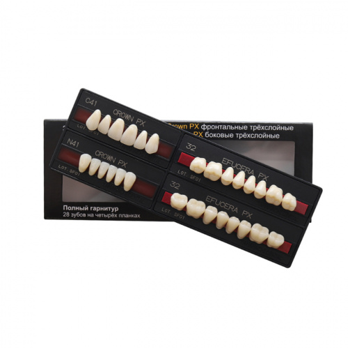 Зубы PX CROWN / EFUCERA, цвет A1, фасон S43S/N41/28, полный гарнитур, 28шт. от Атридент фото 4