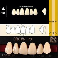 Зубы CROWN PX Anterior, цвет B2, фасон T41 композитные трехслойные, 6 шт. от Атридент