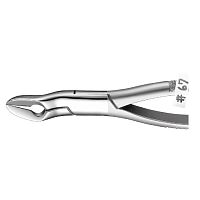 Щипцы экстракционные #67, YDM (Япония)