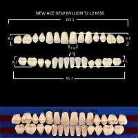 Зубы NEW ACE/NEW MILLION, цвет D4, фасон T2/L2/M30, полный гарнитур, 28шт. от Атридент