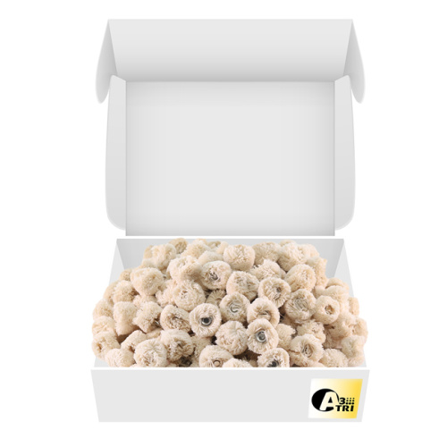 Фильц зуботехнический Sheshan Brush махровый, на дискодержателе, диаметр 22мм, 144шт от Атридент