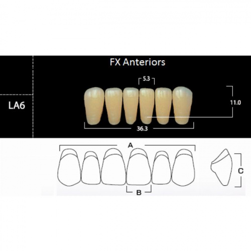 FX Anteriors - Зубы акриловые двухслойные, фронтальные нижние, цвет C2, фасон LA6, 6 шт от Атридент