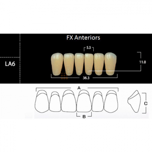 FX Anteriors - Зубы акриловые двухслойные, фронтальные нижние, цвет B1, фасон LA6, 6 шт
