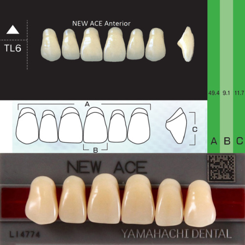 Зубы NEW ACE Anterior, цвет B4, фасон TL6 акриловые двухслойные, 6 шт. от Атридент