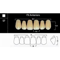 FX Anteriors - Зубы акриловые двухслойные, фронтальные верхние, цвет A4, фасон S7, 6 шт