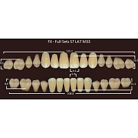 FX зубы акриловые двухслойные, полный гарнитур (28 шт.) на планке, A2, S7/LA7/M33