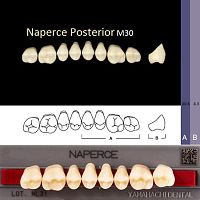 Зубы NAPERCE Posterior, цвет B3, фасон М30 акриловые двухслойные, 8 шт.