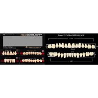 Зубы PX CROWN / EFUCERA, цвет D2, фасон O61S/N61S/32, полный гарнитур, 28шт.