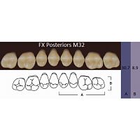 FX Posteriors - Зубы акриловые двухслойные, боковые верхние, цвет D3, фасон М32, 8 шт
