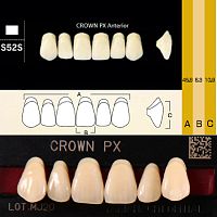 Зубы CROWN PX Anterior, цвет D4, фасон S52S композитные трехслойные, 6 шт. от Атридент