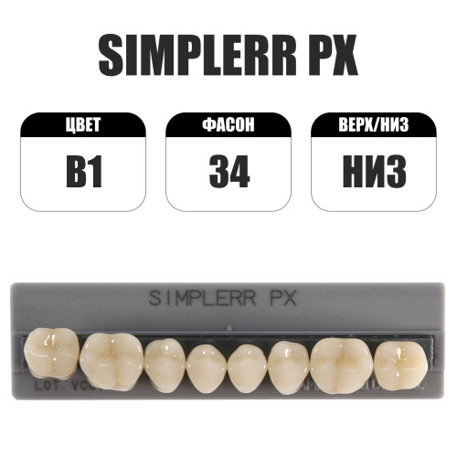 PX Simplerr Posterior боковые нижние, B1, ф. 34, зубы акриловые трехслойные, 8 шт. от Атридент