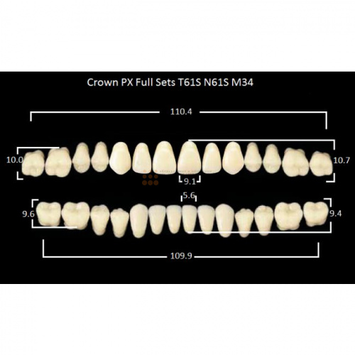 Зубы PX CROWN / EFUCERA, цвет B1, фасон T61S/N61S/34, полный гарнитур, 28шт. фото 2