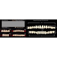 Зубы PX CROWN / EFUCERA, цвет A2, фасон T51S/N42/30, полный гарнитур, 28шт.
