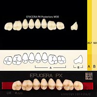 Зубы EFUCERA PX Posteriors, цвет D4, фасон 30, композитные трехслойные боковые верхние, 8 штук на планке. от Атридент