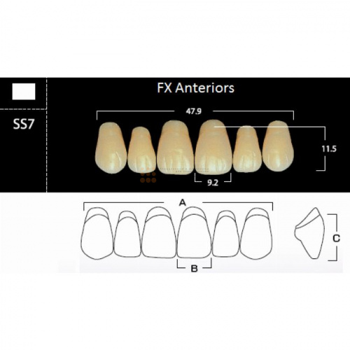 FX Anteriors - Зубы акриловые двухслойные, фронтальные верхние, цвет B3, фасон SS7, 6 шт