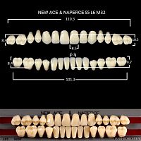 Зубы GLORIA, цвет A1, фасон S5 М32, акриловые двухслойные, полный гарнитур, 28 шт.