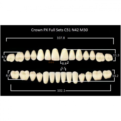Зубы PX CROWN / EFUCERA, цвет B3, фасон C51/N42/30, полный гарнитур, 28шт. фото 2