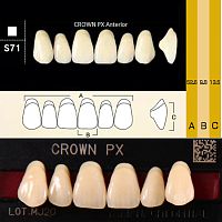 Зубы CROWN PX Anterior, цвет C4, фасон S71 композитные трехслойные, 6 шт.