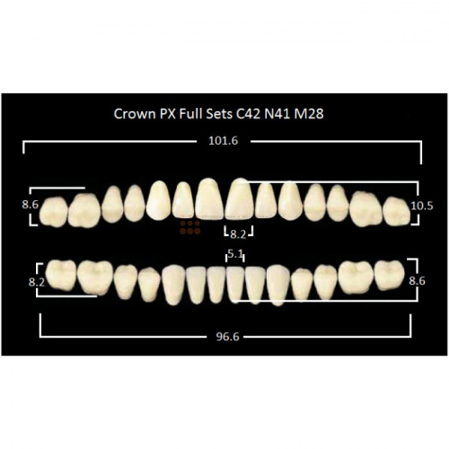 Зубы PX CROWN / EFUCERA, цвет C1, фасон C42/N41/28, полный гарнитур, 28шт. фото 2