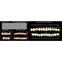 Зубы PX CROWN / EFUCERA, цвет B4, фасон T61/N61S/34, полный гарнитур, 28шт.