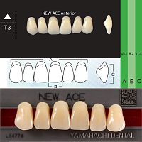 Зубы NEW ACE Anterior, цвет A3, фасон T3 акриловые двухслойные, 6 шт.