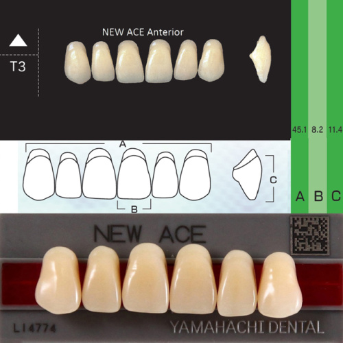 Зубы NEW ACE Anterior, цвет A3, фасон T3 акриловые двухслойные, 6 шт. Зубы NEW ACE Anterior, цвет A3, фасон T3 акриловые двухслойные, 6 шт. от Атридент