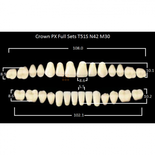 Зубы PX CROWN / EFUCERA, цвет C3, фасон T51S/N42/30, полный гарнитур, 28шт. фото 2
