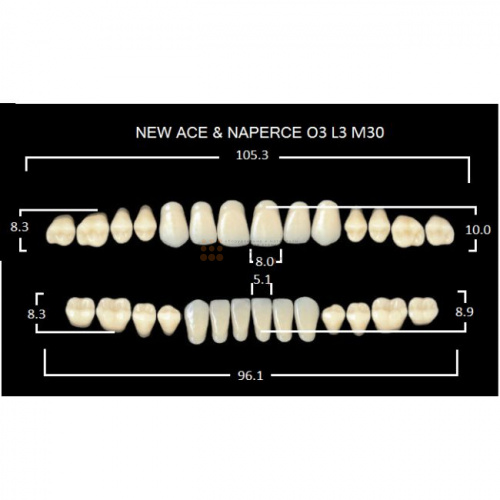 Зубы GLORIA, цвет C2, фасон O3 М30, акриловые двухслойные, полный гарнитур, 28 шт. фото 2