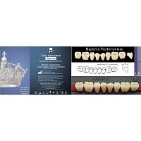 Зубы NAPERCE Posterior, цвет A3, фасон М36 акриловые двухслойные, 8 шт.