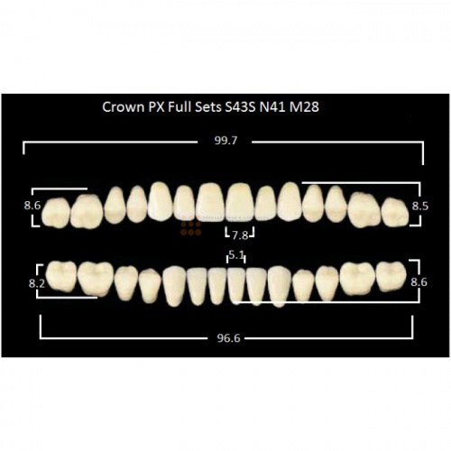 Зубы PX CROWN / EFUCERA, цвет C4, фасон S43S/N41/28, полный гарнитур, 28шт. фото 2