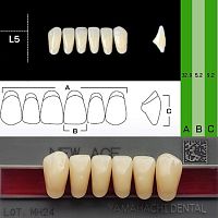 Зубы NEW ACE Anterior, цвет B2, фасон L5 акриловые двухслойные, 6 шт.