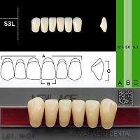 Зубы NEW ACE Anterior, цвет W05, фасон S3L акриловые двухслойные, 6 шт.