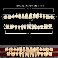 Зубы GLORIA, цвет A3, фасон T3 М32, акриловые двухслойные, полный гарнитур, 28 шт.