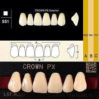 Зубы CROWN PX Anterior, цвет A3, фасон S51 композитные трехслойные, 6 шт.