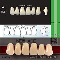 Зубы NEW ACE Anterior, цвет B4, фасон TL6 акриловые двухслойные, 6 шт. от Атридент