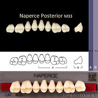 Зубы NAPERCE Posterior, цвет C1, фасон М33 акриловые двухслойные, 8 шт. от Атридент