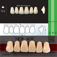 Зубы NEW ACE Anterior, цвет A4, фасон TL5 акриловые двухслойные, 6 шт. от Атридент