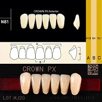 Зубы CROWN PX Anterior, цвет A1 фасон N81 композитные трёхслойные, 6шт.