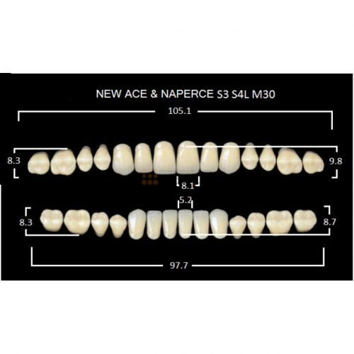 Зубы GLORIA, цвет B3, фасон S3 М30, акриловые двухслойные, полный гарнитур, 28 шт. фото 2
