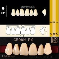 Зубы CROWN PX Anterior, цвет D2, фасон O41 композитные трехслойные, 6 шт.